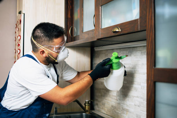 Best Pest Removal Services  in Myrtletown, CA