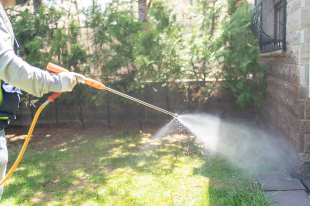 Best Residential Pest Control  in Myrtletown, CA
