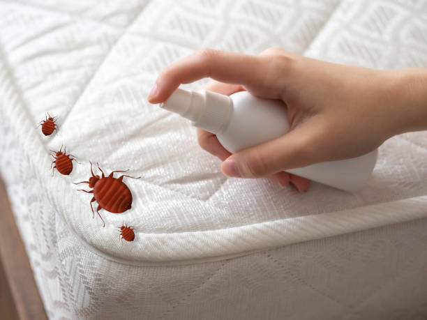 Best Affordable Pest Control Services  in Myrtletown, CA