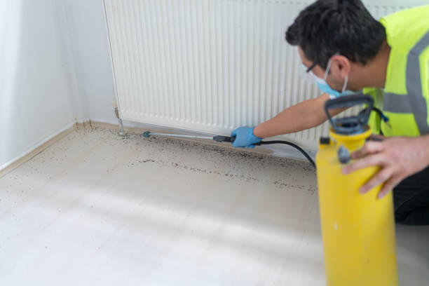 Best Best Pest Control Companies  in Myrtletown, CA