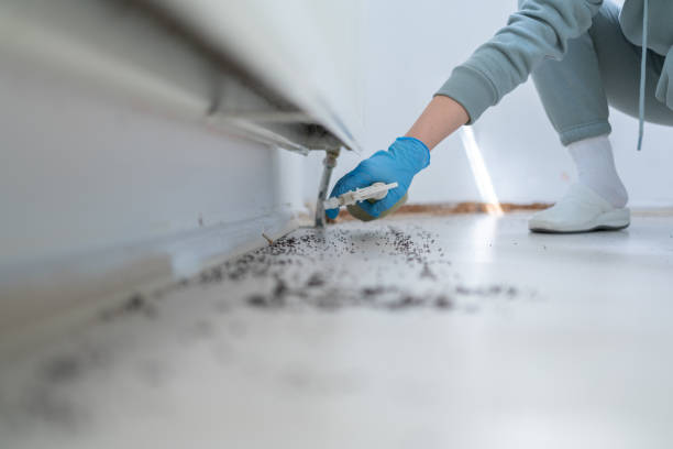 Best Pest Control Treatment  in Myrtletown, CA