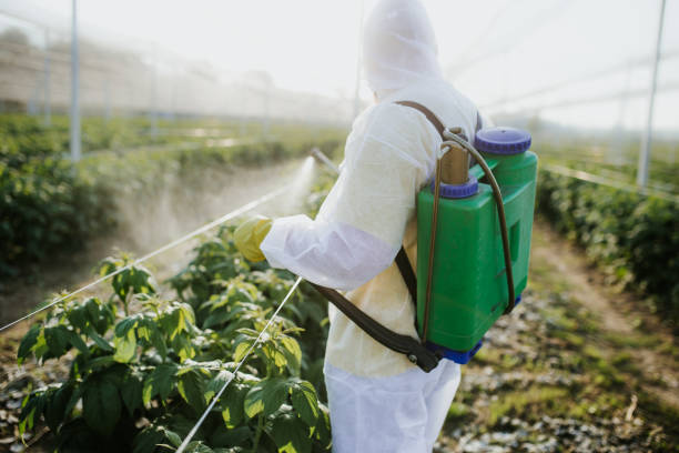 Best Commercial Pest Control Services  in Myrtletown, CA
